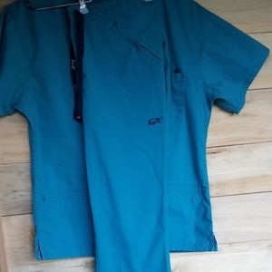 Iguana scrubs, womens size small